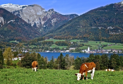 Lakes Region Of Austria