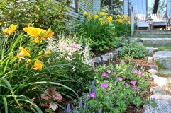 Garden By Our Back Deck Of Our Summer Cottage In Maine